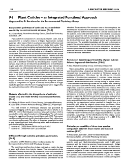 P4 Plant Cuticles - an Integrated Functional