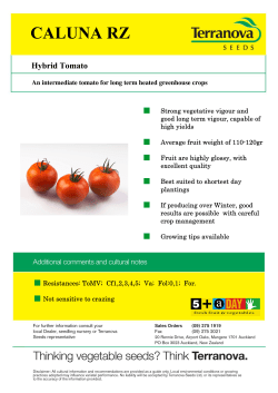 6wurqj yhjhwdwlyh yljrxu dqg jrrg orqj whup yljrxu fdsdeoh ri kljk