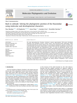 Back to solitude: Solving the phylogenetic position of the Diazonidae