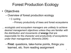 Forest Production Ecology