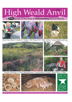 Anvil 2008 - the High Weald