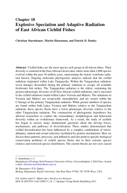 Explosive Speciation and Adaptive Radiation of East African Cichlid