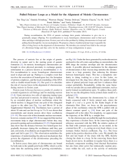 Pulled Polymer Loops as a Model for the Alignment of Meiotic