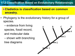 Cladistics is classification based on common ancestry. &bull; Phylogeny