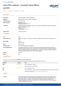 Anti-LYVE1 antibody - Lymphatic Vessel Marker