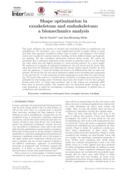 Shape optimization in exoskeletons and endoskeletons: a