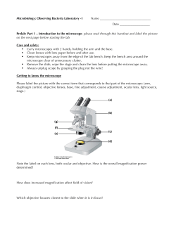 Microbiology: Observing Bacteria Laboratory