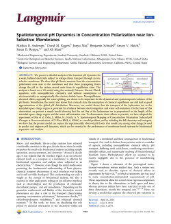 Spatiotemporal pH Dynamics in Concentration