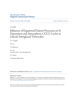 Influence of Equatorial Diatom Processes on Si Deposition and