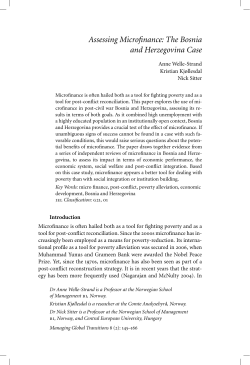 Assessing Microfinance: The Bosnia and Herzegovina Case