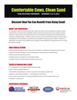 Comfortable Cows, Clean Sand