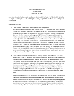 FL1 and DFRTAC Notes - Dominion Energy Solutions