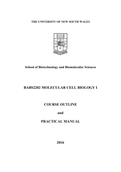 the university of new south wales