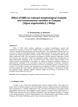 Effect of EMS on induced morphological mutants and chromosomal