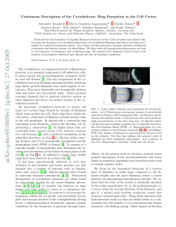 Continuum Description of the Cytoskeleton: Ring Formation in the