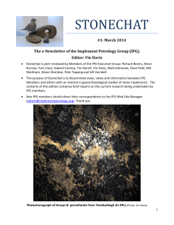 stonechat - Implement Petrology Group
