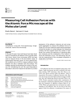 Measuring Cell Adhesion Forces with the Atomic Force Microscope