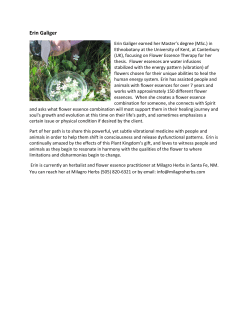 Erin Galiger - UNM Curanderismo Class