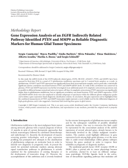 Gene Expression Analysis of an EGFR Indirectly Related Pathway