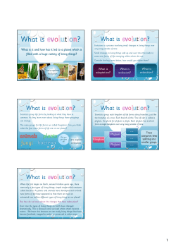 the free PDF resource