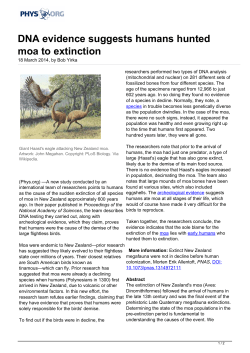 DNA evidence suggests humans hunted moa to extinction
