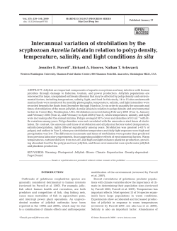 Interannual variation of strobilation by the scyphozoan Aurelia