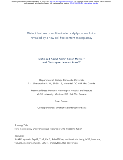 Distinct features of multivesicular body-lysosome fusion