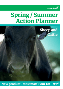 Spring Action Planner