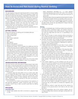 How to Assist and Not Assist during Normal Birthing