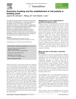 Symmetry breaking and the establishment of cell polarity in budding