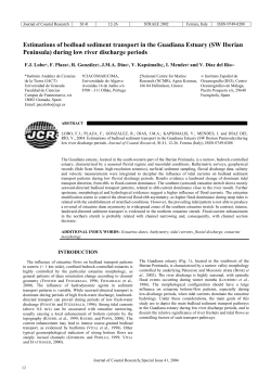 Estimations of bedload sediment transport in the Guadiana Estuary