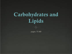 Carbohydrates and Lipids