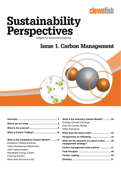 Clownfish Guide to Carbon Management