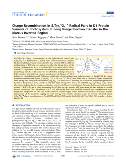 Charge Recombination in Sn TyrZ QA Radical Pairs in D1 Protein