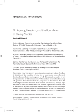 On Agency, Freedom, and the Boundaries of Slavery Studies