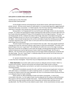 Some points to consider about cattle water Ted McCollum III, PhD