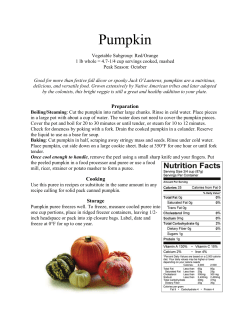Pumpkin - Cash-Wa Distributing