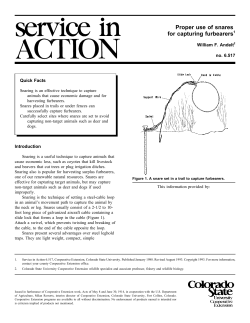 Proper use of snares for capturing furbearers