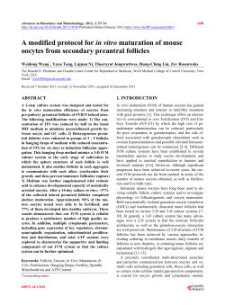 A modified protocol for in vitro maturation of mouse oocytes from