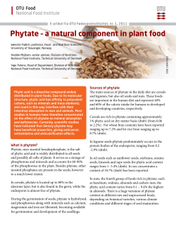 Phytate &ndash; a natural component in plant food