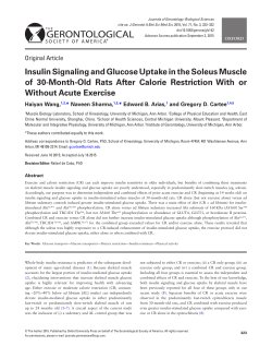 Insulin Signaling and Glucose Uptake in the Soleus Muscle of 30