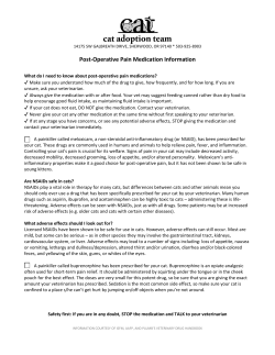 Post-Operative Pain Medication Information