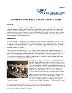The Welfare of Animals in the Veal Industry