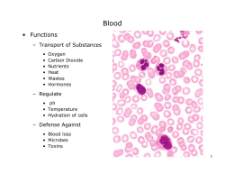 Functions - MindMeister
