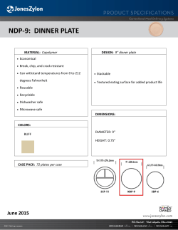 ndp-9: dinner plate