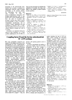 Coupling factor B and the bovine mitochondria1 thesis, H+