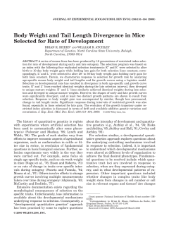 Body Weight and Tail Length Divergence in Mice Selected for Rate