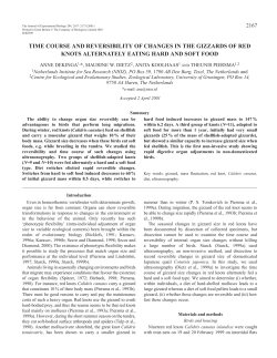 Non-invasive study of reversible changes in gizzard size
