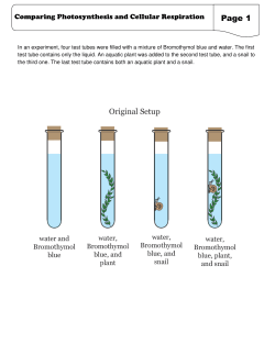 Comparing Photosynthesis and Cellular Respiration