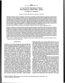 A Low-Profile Subsistence Fishery: Pike Fishing in Minto Flats, Alaska